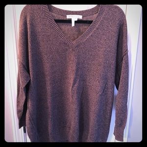 BCBG sweater